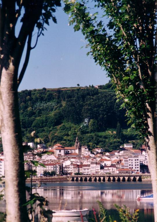 Sarga Sentirgalicia